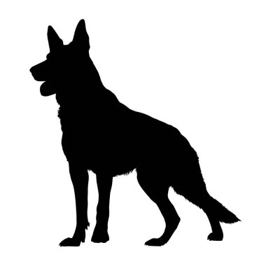 Alman çoban köpeği silueti beyaz arka planda izole edilmiş. Vektör illüstrasyonu