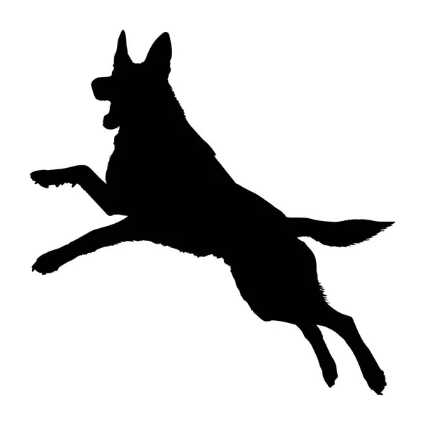 Defense German Shepherd Dog Silhouette Isolated White Background Vector Illustration — Stock Vector