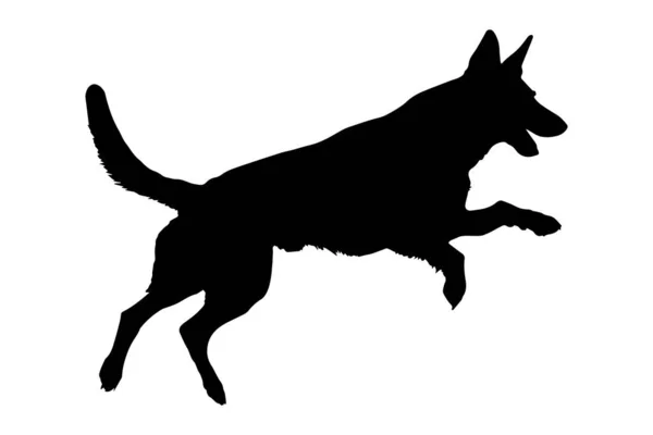 Jumping German Shepherd Dog Silhouette Isolated White Background Vector Illustration — Stock Vector