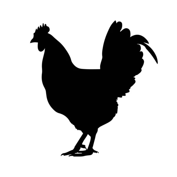 Rooster Silhouette Isolated White Background — Stock Vector