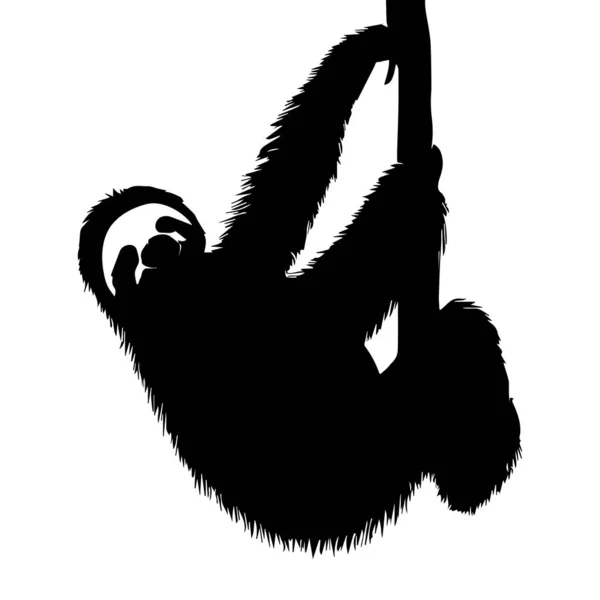 Sloth Tak Silhouet Geïsoleerd Witte Achtergrond Vectorillustratie — Stockvector
