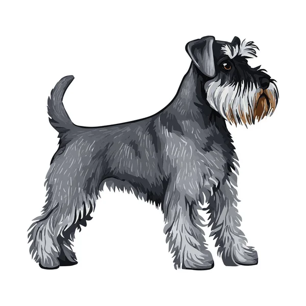 Mignon Chien Terrier Isolé Sur Fond Blanc Vue Latérale Illustration — Image vectorielle