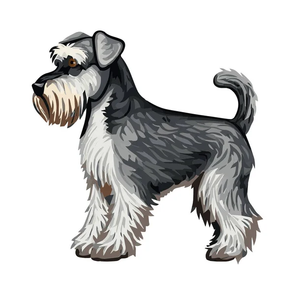 Cão Terrier Isolado Fundo Branco Vista Lateral Ilustração Vetorial —  Vetores de Stock
