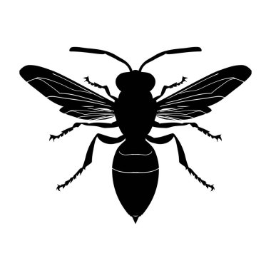 Beyaz arka planda yaban arısı silueti var. Simge Vektörü illüstrasyonu