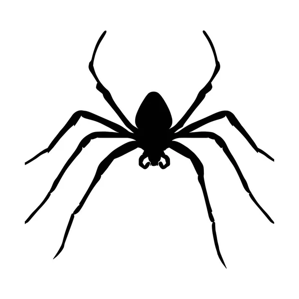 Spider Silhouette Isolated White Background Icon Vector Illustration — Stock Vector