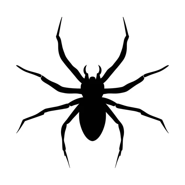 Spider Silhouette Isolated White Background Icon Vector Illustration — Stock Vector