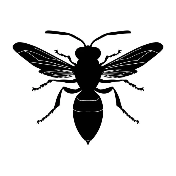 Wasp Silhouette Isolated White Background Icon Vector Illustration — Stock Vector