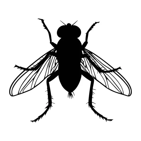 Fly Silhouette Isolated White Background Icon Vector Illustration — Stock Vector
