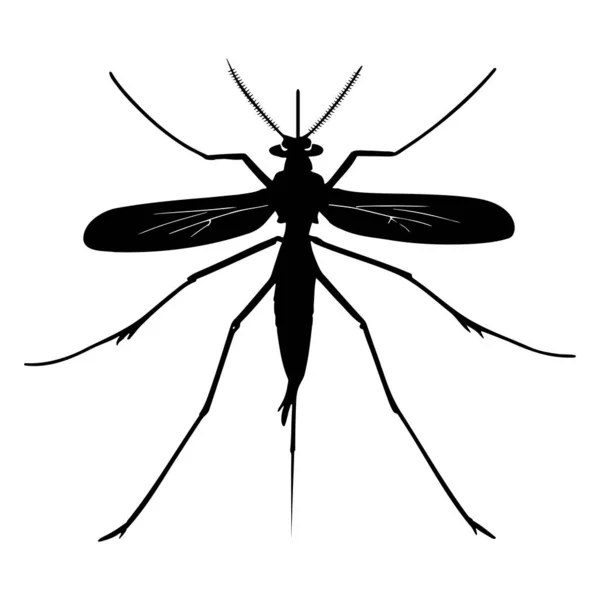 Mosquito Silhouette Isolated White Background Icon Vector Illustration — Stock Vector