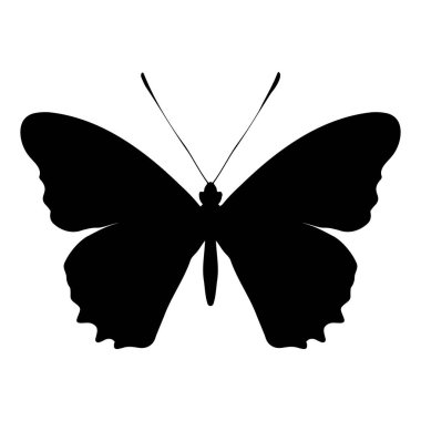 Kelebek silueti beyaz arka planda izole edilmiş. Vektör illüstrasyonu