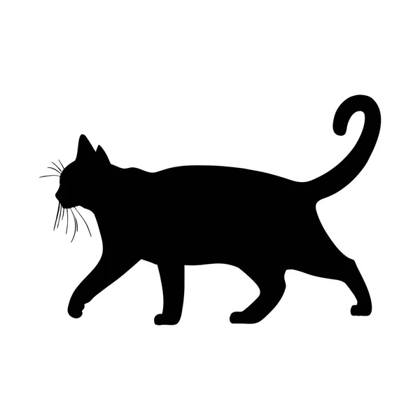 Χοντρή Σιλουέτα Γάτας Απομονωμένη Λευκό Φόντο Εικονογράφηση Διανύσματος — Διανυσματικό Αρχείο