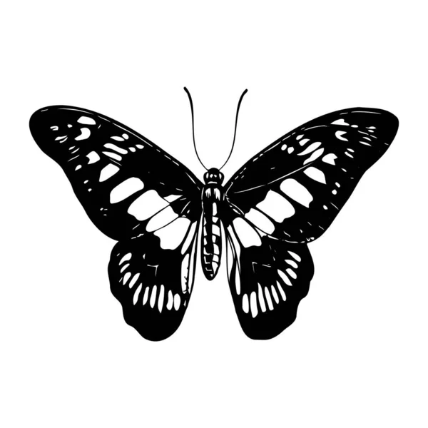 Decorative Butterfly Silhouette Isolated White Background Vector Illustration — Stock Vector