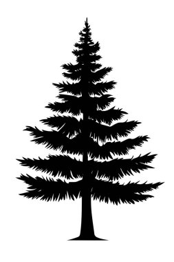 Kozalaklı ağaç silueti beyaz arkaplanda izole edilmiş. vektör illüstrasyonu