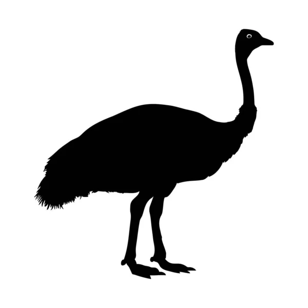 Ostrich Silhouette Isolated White Background Vector Illustration — Stock Vector
