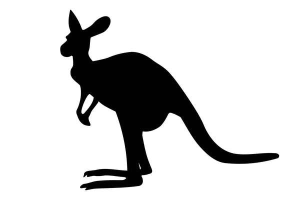 Standing Kangaroo Silhouette Isolated White Background Vector Illustration — Stock Vector