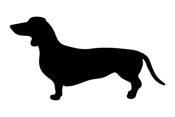 Dachshund Dog Silhouette Isolated White Background Vector Illustration — Stock Vector