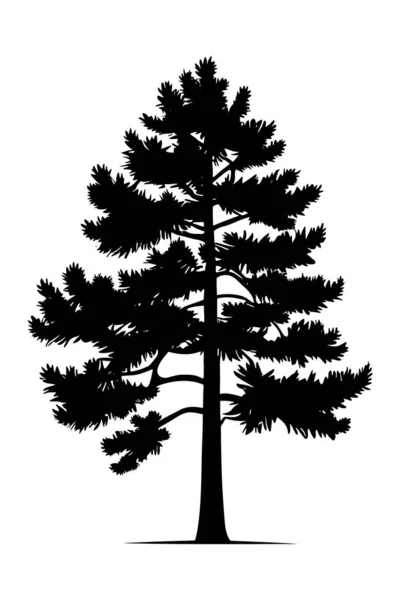 Силует Хвойного Дерева Ізольований Білому Тлі Векторна Ілюстрація — стоковий вектор