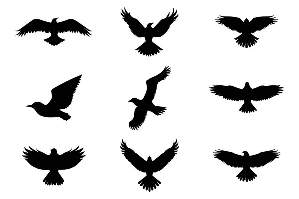 Aves Voando Coleção Silhueta Conjunto Símbolos Ícone Ilustração Vetorial — Vetor de Stock