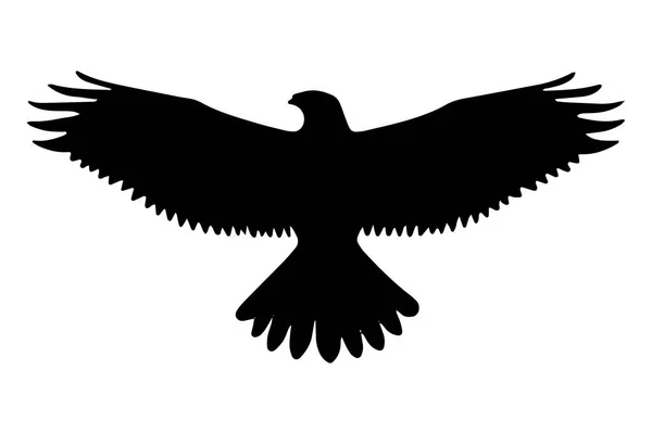 Bald Eagle Bird Flying Silhouette Isolated Vector Illustration — Stock Vector