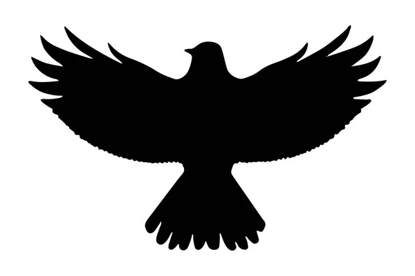 Silueta Voladora Aves Aislada Ilustración Vectorial — Vector de stock