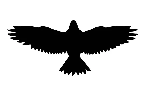 Orzeł Ptak Latający Sylwetka Odizolowany Ilustracja Wektora — Wektor stockowy