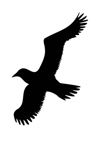 Силуэт Летающей Птицы Чайки Изолирован Векторная Иллюстрация — стоковый вектор