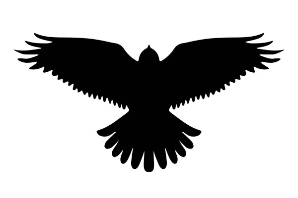 Uccello Rapace Silhouette Volante Isolato Illustrazione Vettoriale — Vettoriale Stock