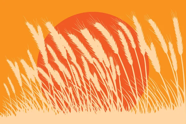 Yaz Sahnesinde Buğday Tarlası Vektör Illüstrasyonu — Stok Vektör