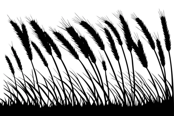 畑のシルエットの小麦 ベクターイラスト — ストックベクタ