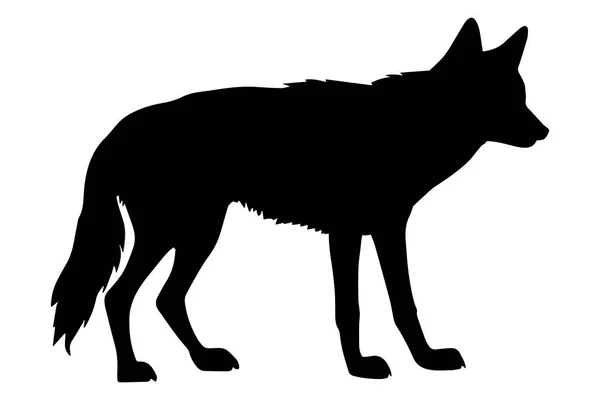 白い背景に孤立した狼のシルエット ベクターイラスト — ストックベクタ