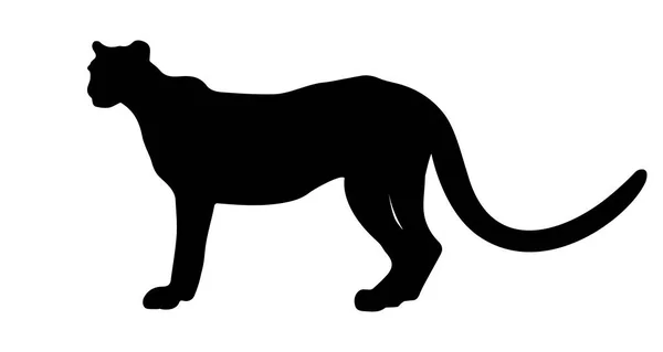 Σιλουέτα Leopard Απομονώνεται Λευκό Φόντο Εικονογράφηση Διανύσματος — Διανυσματικό Αρχείο