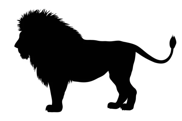 Σιλουέτα Των Λιονταριών Απομονώνεται Λευκό Φόντο Εικονογράφηση Διανύσματος — Διανυσματικό Αρχείο