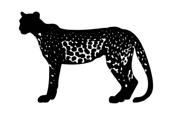 Leopardí Silueta Izolovaná Bílém Pozadí Vektorová Ilustrace — Stockový vektor