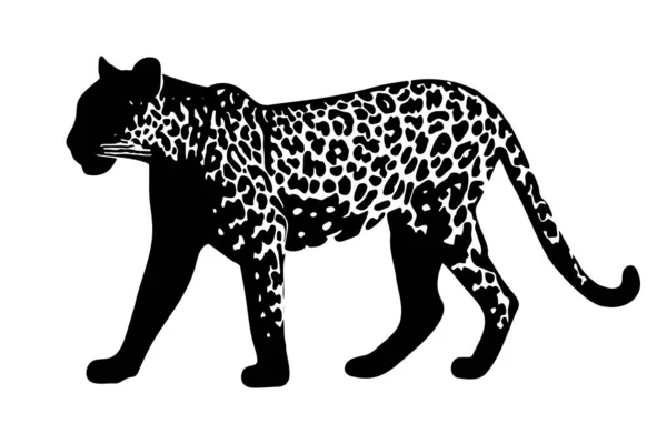 Jaguar Siluett Isolerad Vit Bakgrund Vektorillustration — Stock vektor