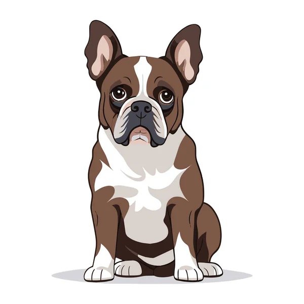 Francia Bulldog Elszigetelt Fehér Háttérrel Lapos Vektor Illusztráció — Stock Vector