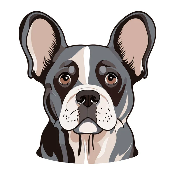 Portrait Bulldog Français Isolé Sur Fond Blanc Illustration Vectorielle Plate — Image vectorielle