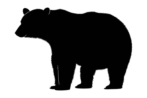 Niedźwiedź Polarny Sylwetka Ilustracja Wektorowa — Wektor stockowy