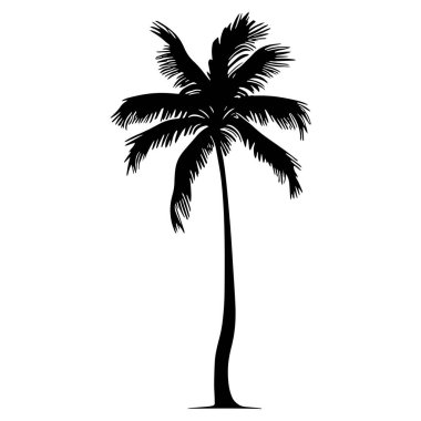 Palm tree silhouette. Vector illustration clipart