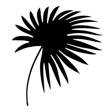 Tropik palmiye yaprağı silueti. Vektör illüstrasyonu