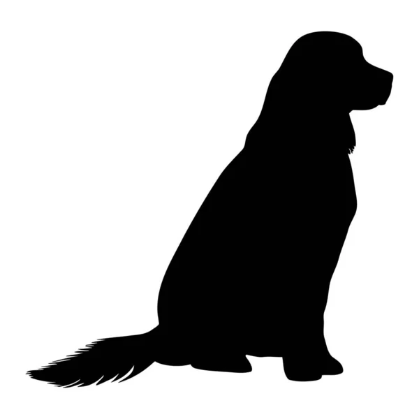 Złoty Pies Retriever Siedzi Sylwetka Ilustracja Wektora — Wektor stockowy