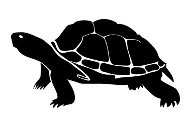 Kaplumbağa silueti izole edildi. vektör illüstrasyonu