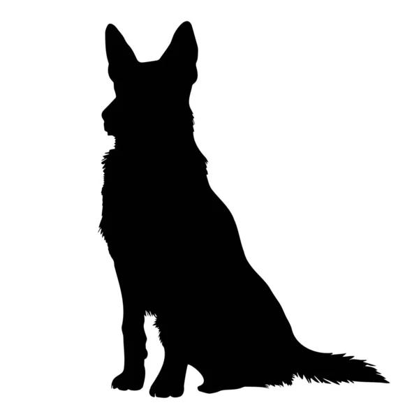 Sitting German Shepherd Dog Silhouette Vector Illustration — Stock Vector