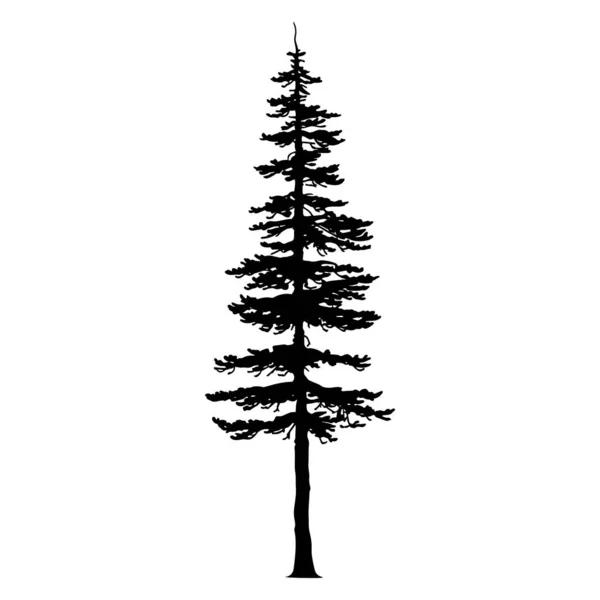Douglas Fir Δέντρο Σιλουέτα Εικονογράφηση Διανύσματος — Διανυσματικό Αρχείο
