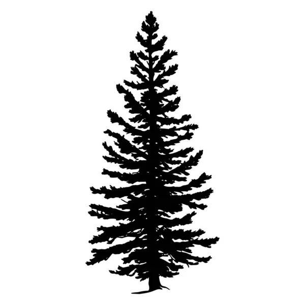 Douglas Fir Δέντρο Σιλουέτα Εικονογράφηση Διανύσματος — Διανυσματικό Αρχείο