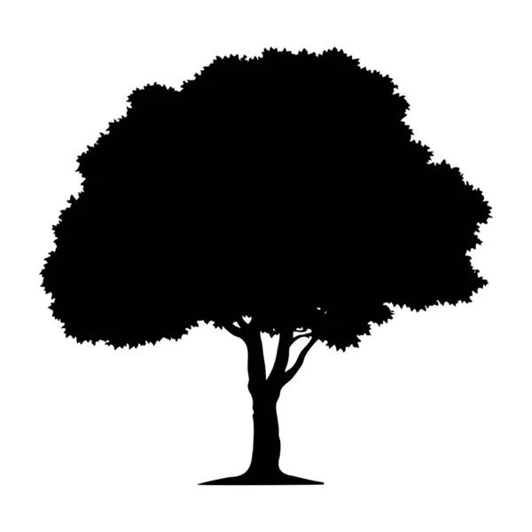 Σιλουέτα Των Δέντρων Απομονώθηκε Εικονογράφηση Διανύσματος — Διανυσματικό Αρχείο