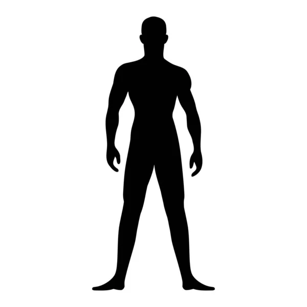 Männliche Athletische Menschliche Körpersilhouette Vektorillustration — Stockvektor