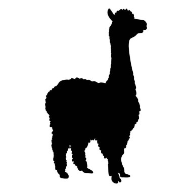 Alpaca siluet simgesi. Vektör illüstrasyonu