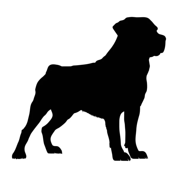 Sylwetka Psa Rottweilera Ilustracja Wektora — Wektor stockowy