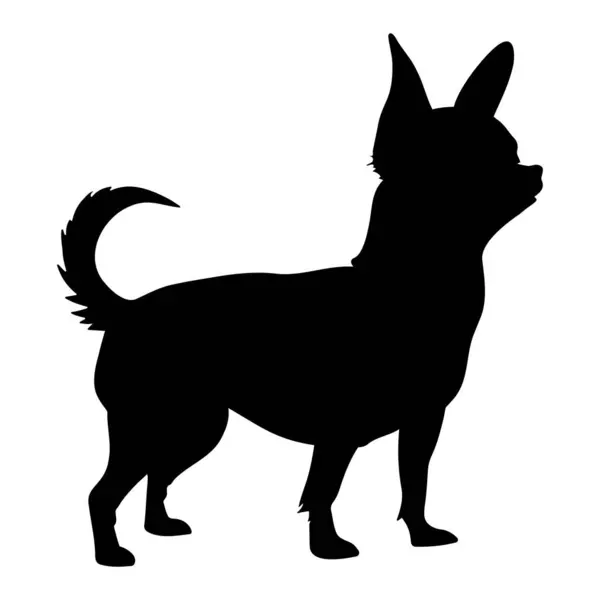 Símbolo Ícone Silhueta Cachorro Chihuahua Ilustração Vetorial — Vetor de Stock
