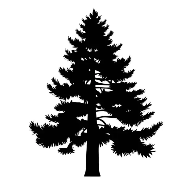 Çam Ağacı Veya Ağaç Silueti Vektör Illüstrasyonu — Stok Vektör